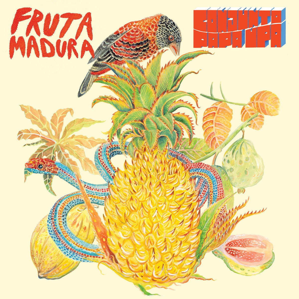 Conjunto Papa Upa – Fruta Madura