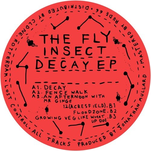 The Fly Insect - Decay EP